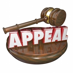 Reasons to Appeal a Criminal Conviction in Florida
