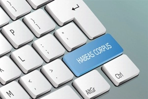 Writs of Habeas Corpus and Criminal Appeals in Florida