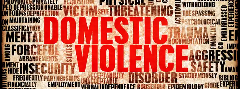 Our Domestic Violence Case Results
