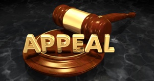 What Happens After Winning My Criminal Appeal in Florida?