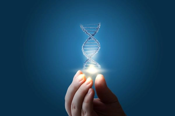 How a Palm Beach Sex Crime Defense Lawyer May Challenge DNA Evidence