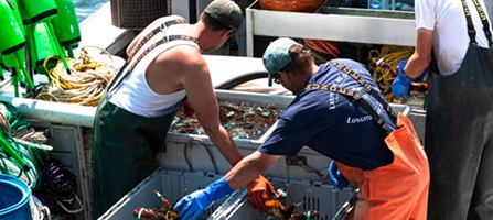 Fishing, Wildlife and Lobster Violations