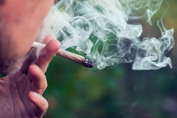 Why the Smell of Marijuana Alone No Longer Justifies Vehicle Searches in Florida